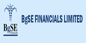 BGSE Financial Franchise Logo