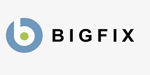 Big-Fix-Franchise-Logo