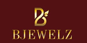 Birla-Jewels-Franchise-Logo